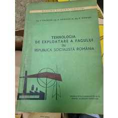 E. Balanescu, D. Copaceanu, D. Ivanescu - Tehnologia de Exploatare a Fagului