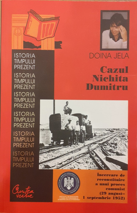 Cazul Nichita Dumitru