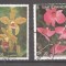 Sao Tome e Principe 1989 Plants, Flowers, used M.262