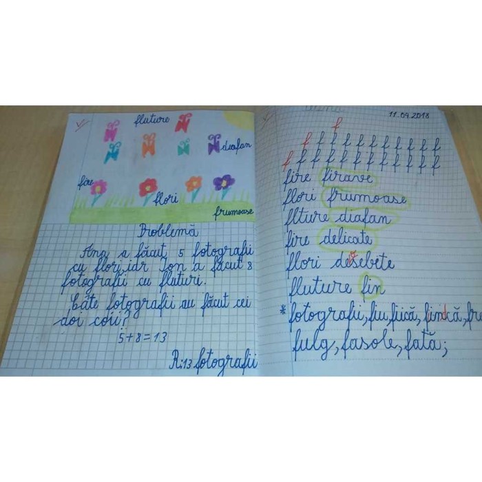 CAIET Liniatura Combinata NumLit CLN-cls1