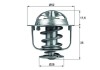 Termostat Lichid Racire 503890 DK102535