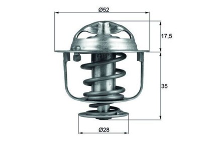 Termostat Lichid Racire 503890 DK102535 foto