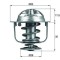 Termostat Lichid Racire 503890 DK102535