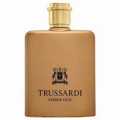 Trussardi Amber Oud Eau de Parfum pentru barba?i 100 ml foto