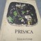 PRISACA - T ARGHEZI POEZII FORMAT MARE