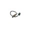 Sonda Lambda NISSAN PRIMERA Hatchback P11 BERU OZH226