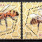 ROMANIA 2010, Fauna, Albine, MNH, 1854