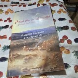 Proza din cealalta viata. Cronica unui geniu nebun - Friedrich Holderlin si apropiatii sai