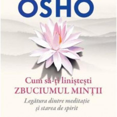 Cum sa-ti linistesti zbuciumul mintii. Legatura dintre meditatie si starea de spirit