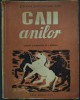 Stefania Zottoviceanu Rusu - CAII ANILOR (Versuri, Editie Princeps 1947) Coperta Vasile Dobrian, 160 pagini