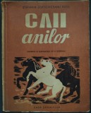 STEFANIA ZOTTOVICEANU RUSU: CAII ANILOR (VERSURI / editia princeps 1947 / coperta si ilustratii de VASILE / V. DOBRIAN)