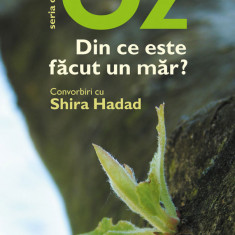Din ce este făcut un măr? Convorbiri cu Shira Hadad (ebook)