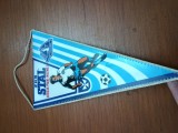 FANION MATASE SPORT FOTBAL POLONIA