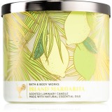 Bath &amp; Body Works Island Margarita lum&acirc;nare parfumată 411 g