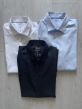 Lot Camasi elegante, marimea 41/42, conditie foarte buna