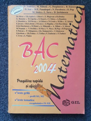 BACALAUREAT 2004 MATEMATICA - Andrica, Baluna foto
