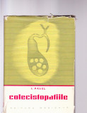 COLECISTOPATIILE