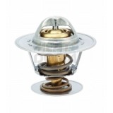 Termostat,Lichid Racire MEAT &amp; DORIA 92125