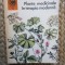 Plante medicinale in terapia moderna - Maria Alexandriu-Peiulescu, Horia Popescu