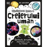 Uimitoarea lume a creierului uman - Dr. Liam Drew