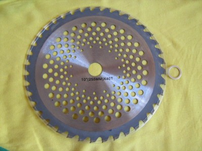 DISC MOTOCOASA DISK ( 255x25.4x40T &amp;quot; ) MotoCoasa / Moto Coasa foto