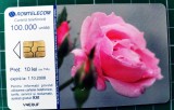 Cartelă telefonică Romtelecom Floral 10 lei 100.000 unități V4E8UF exp. 01.10.2008 Trandafir Tufă Curpeni Clematis Flori Plante