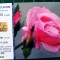 Cartelă telefonică Romtelecom Floral 10 lei 100.000 unități V4E8UF exp. 01.10.2008 Trandafir Tufă Curpeni Clematis Flori Plante