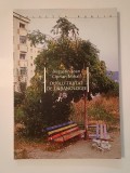 Augustin Ioan; Ciprian Mihali - Dublu tratat de urbanologie