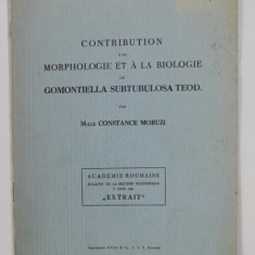 CONTRIBUTION A LA MORPHOLOGIE ET A LA BIOLOGIE DU GOMONTIELLA SUBTULOSA TEOD . par M- LLE CONSTANCE MORUZI , 1941