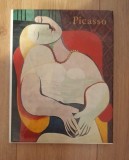 Ileana Șoldea - Picasso