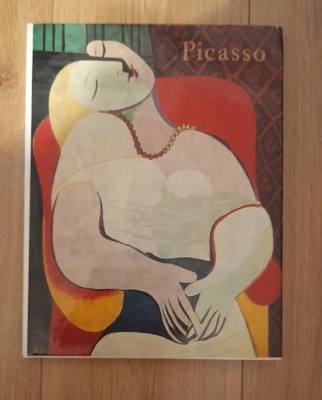 Ileana Șoldea - Picasso foto
