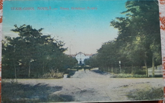 Carte postala, Techirghiol Movila, aleea hotelului Movila, 1932