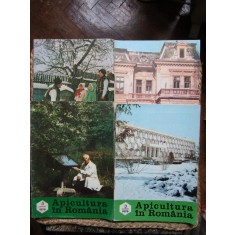 APICULTURA IN ROMANIA ANUL 1979 , LOT 4 REVISTE