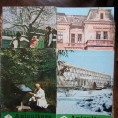 APICULTURA IN ROMANIA ANUL 1979 , LOT 4 REVISTE