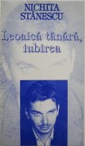 Leoaica tanara, iubirea - Nichita Stanescu (cateva insemnari)