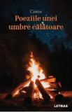 Poeziile unei umbre calatoare - Costin