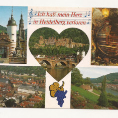 SG11- Carte Postala - Germania- Heidelberg, necirculata