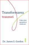 Transformarea traumei. Calea catre speranta si vindecare