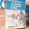 CU DIVIA 8 CAVALERIE IN VEST