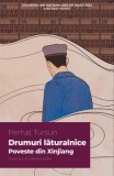 Cumpara ieftin Drumuri laturalnice. Poveste din Xinjiang/Perhat Tursun