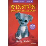 Winston, cățelușul din adăpost