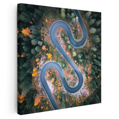 Tablou vedere aeriana drum serpuit verde 2002 Tablou canvas pe panza CU RAMA 40x40 cm foto
