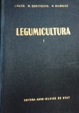 LEGUMICULTURA VOLUMUL I MAIER