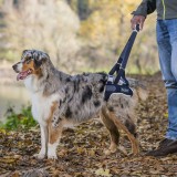 Balto - Ham pentru membre posterioare - pentru c&acirc;ini XL