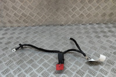Cablu baterie pozitiv PEUGEOT 2008 II 2024 OEM: 9842007880 27953479 foto