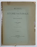 MUZEUL DE ISTORIE NATURALA DIN BUCURESTI de Dr. GR. ANTIPA , cu 16 PLANSE IN AUTOTIPIE , 1918 , COTOR LIPIT CU SCOTCH