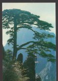 CPIB 25098 CARTE POSTALA - CHINA, PIN - NECIRCULATA