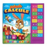 Carte cu sunete. Primele calcule