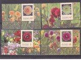 ROMANIA 2022 - DALII, VINIETA 2, MNH - LP 2390, Flora, Nestampilat