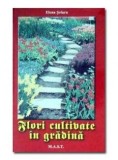 Elena Șelaru - Flori cultivate &icirc;n grădină